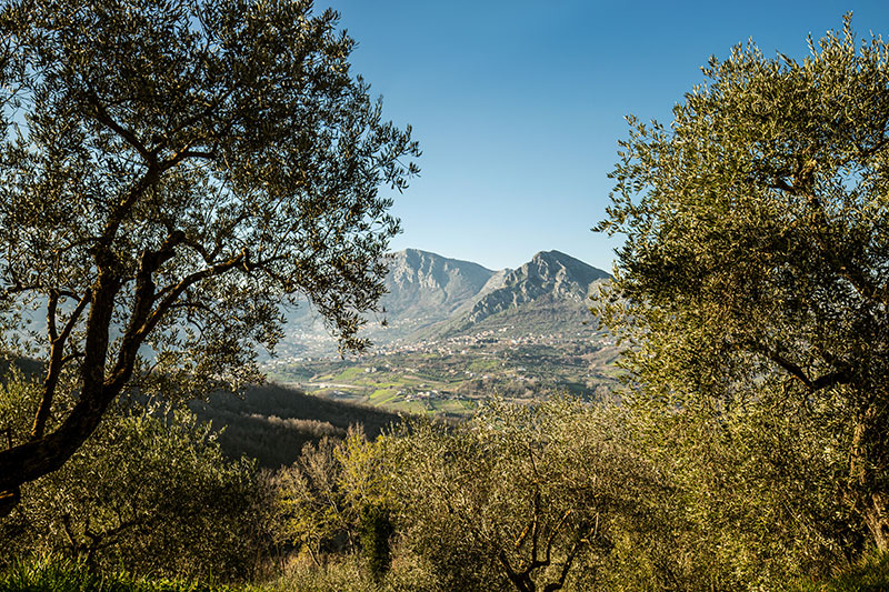 colli-del-taburno-1